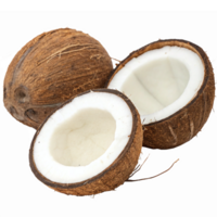 Realistic Depiction of Coconut Halves with Shell and White Flesh on Transparent Background png