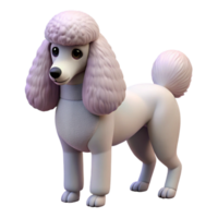 serene modern Poodle, standard poodle, groomed, authentic png