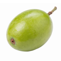 Fresh Green Mango Isolated on Transparent Background for Culinary and Design Use png