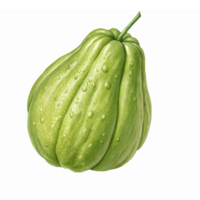 Realistic Green Chayote with Water Droplets on a Transparent Background for Culinary Illustrations png