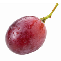 Fresh Realistic Red Grape with Water Droplets on Transparent Background png