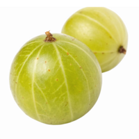 Fresh Green Gooseberries with Natural Texture and Glossy Skin on Transparent Background png