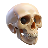 stunning abstract Human skull, bone structure, empty sockets, 4K png