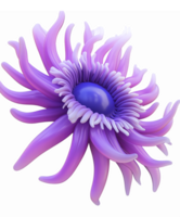 Vivid Purple Sea Anemone with Flowing Tentacles and Blue Center on Transparent Background png