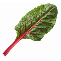 Fresh Swiss Chard Leaf with Vibrant Green and Red Veins for Culinary and Nutritional Uses png