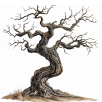 Artistic Gnarled Tree Design With Intricate Branches and Textured Bark on Transparent Background png