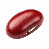 Realistic Red Kidney Bean Isolated on Transparent Background for Culinary and Nutritional Use png