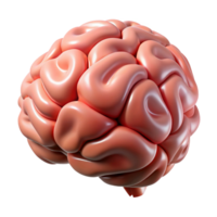 wonderful creative Portrait of a brain, high quality png