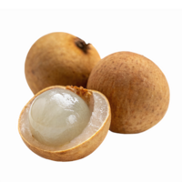 Fresh Longan Fruit Isolated on Transparent Background with One Split Open Revealing Juicy Flesh png