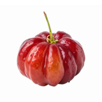 Fresh Bright Red Shell Gourd with Green Stem on Transparent Background png