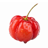 Fresh Red Acerola Cherry with Water Droplets on Transparent Background png