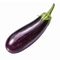 Realistic Eggplant Illustration with Detailed Texture and Color for Digital Design Projects png