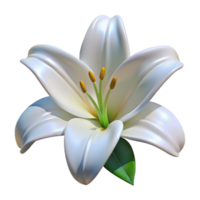 beautiful rustic Single white lily high resolution png