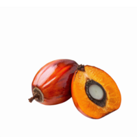 Freshly Sliced Palm Fruit with Vibrant Orange Flesh and Glossy Red Skin on Transparent Background png