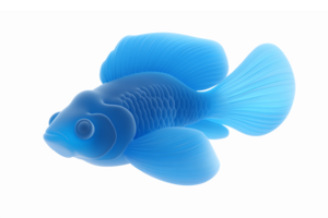 Realistic Blue Goldfish with Transparent Background for Aquatic Themed Designs png