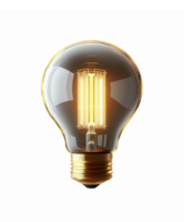 Realistic Vintage Light Bulb Illustration with Glowing Filament on Transparent Background png