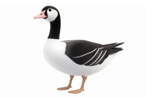 Realistic Illustration of a Tasmanian Duck with a Whimsical Design for Kids Projects png