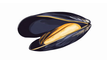 Realistic Illustration of Open Mussel Shell with Clam Inside on Transparent Background png