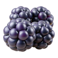 wonderful rustic Blackberry cluster authentic png