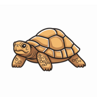 Realistic Cartoon Desert Tortoise Illustration In Motion With Detailed Skin And Shell Features png