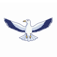 Elegant Seagull in Flight with Open Wings on Transparent Background for Coastal Designs png