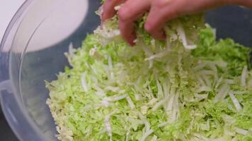 Hands shredding Chinese cabbage on a cutting board video