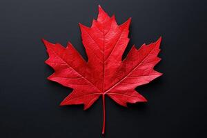 Maple Leaf - A lobed leaf known for its brilliant fall colors, a distinct palmate shape with pointed lobes and turns red, orange, or yellow in autumn photo