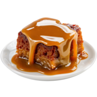 Delicious Caramel Cake Slice on White Plate with Dripping Sauce and Soft Texture png