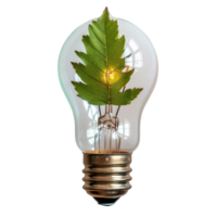 Light Bulb with Green Leaves Symbolizing Eco-Friendly Energy and Nature Connection png