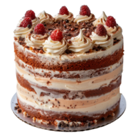Delicious Chocolate Raspberry Layer Cake with Creamy Frosting and Fresh Berries on Top png