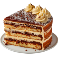 Delicious Layered Cake with Chocolate and Cream Topping for Dessert Lovers png