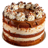 Decadent Chocolate Cake with Creamy Frosting and Chocolate Drizzle on Top png