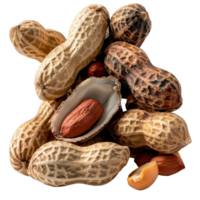 Raw and roasted peanuts in shells arranged artfully on a . for culinary use png