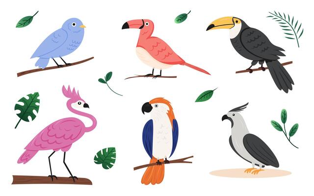 Six colorful birds resting on branches among green leaves. Toucan, flamingo, parrot, cockatoo