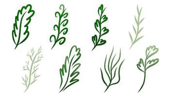 múltiple frondoso ilustraciones con diferente formas y sombras de verde. vector