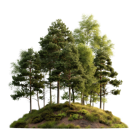 Lush Green Trees on a Small Hill Surrounded by Grass and Bright Vegetation in Natural Setting png