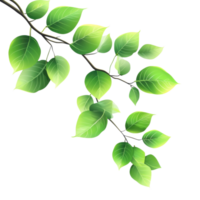 Sunlit Green Leaf Branch Illustration on transparent background. png