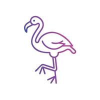A flamingo is standing on its feet vector