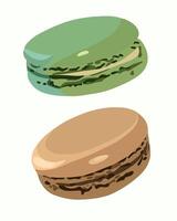 isolated illustration with macaroons on a white background. vector
