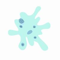 Illustration of amoeba proteus on a white background. Studying the structure of an amoeba. vector
