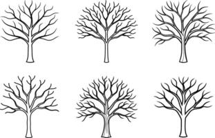 Set of Elegant Bare Trees - Autumn and Fall Season Line Art Illustration vector