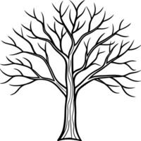 Elegant Bare Tree Line Drawing - Minimalist Leafless Tree vector