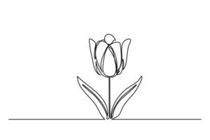 Tulip one line drawing.Abstract flower continuous line. Minimalist contour drawing of tulip. Continuous line drawing of flower tulip.Hand drawn sketch vector