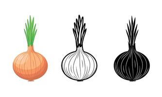 Set of onion icons on a white background vector