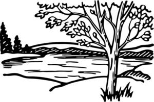 Scenic landscape illustration tree overlooking tranquil lake with hills and pines vector