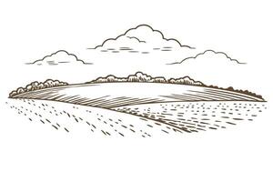 Scenic countryside view with fields and clouds in vintage illustration vector