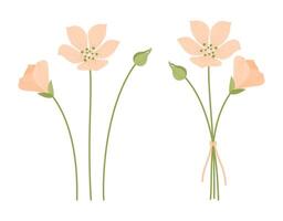 Set of summer orange delicate flowers, bouquet silhouette, green stems, and white background. Bunches of wildflowers, for design projects vector