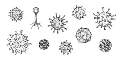 illustration set of various Viruses in black and white. Hand drawn Viral cells, including bacteriophage and adenovirus for medical designs. Isolated objects in line art technique vector