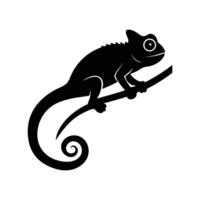 Chameleon on a Branch A sleek silhouette of a chameleon perches elegantly on a slender branch, showcasing its unique form and distinctive features against a clean backdrop. vector