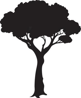 Tree Silhouette. Nature and Environment
